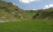 50 La piatta distesa  di romice ai piedi del Passo di Piedivalle...